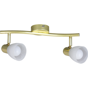 Спот Rabalux Rainbow на два плафони золота 6597
